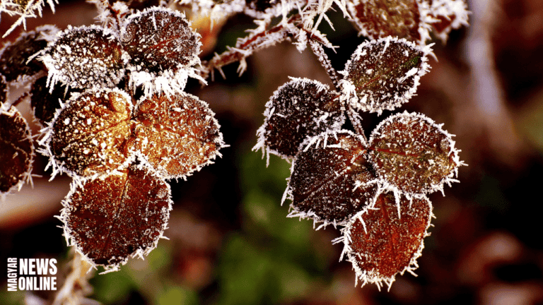 Megérkeznek az első fagyok – hétfő reggel mínusz 2-3 fok lehet Nyugat-Magyarországon