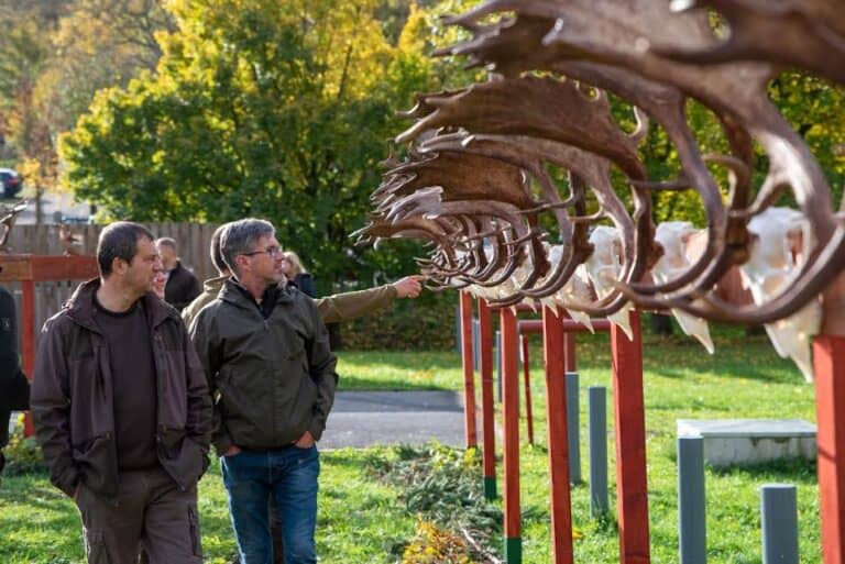 Ősi erdők titkos ízei kerülnek terítékre az év utolsó zarándoklatán nemzeti kegyhelyünkön