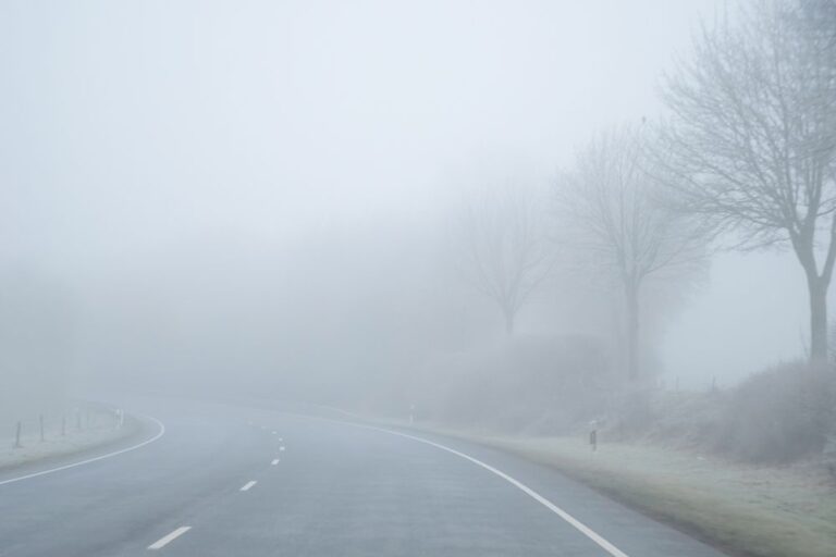 Sűrű köd és borult idő várható a jövő hét elején: lassú lehűlés közeleg