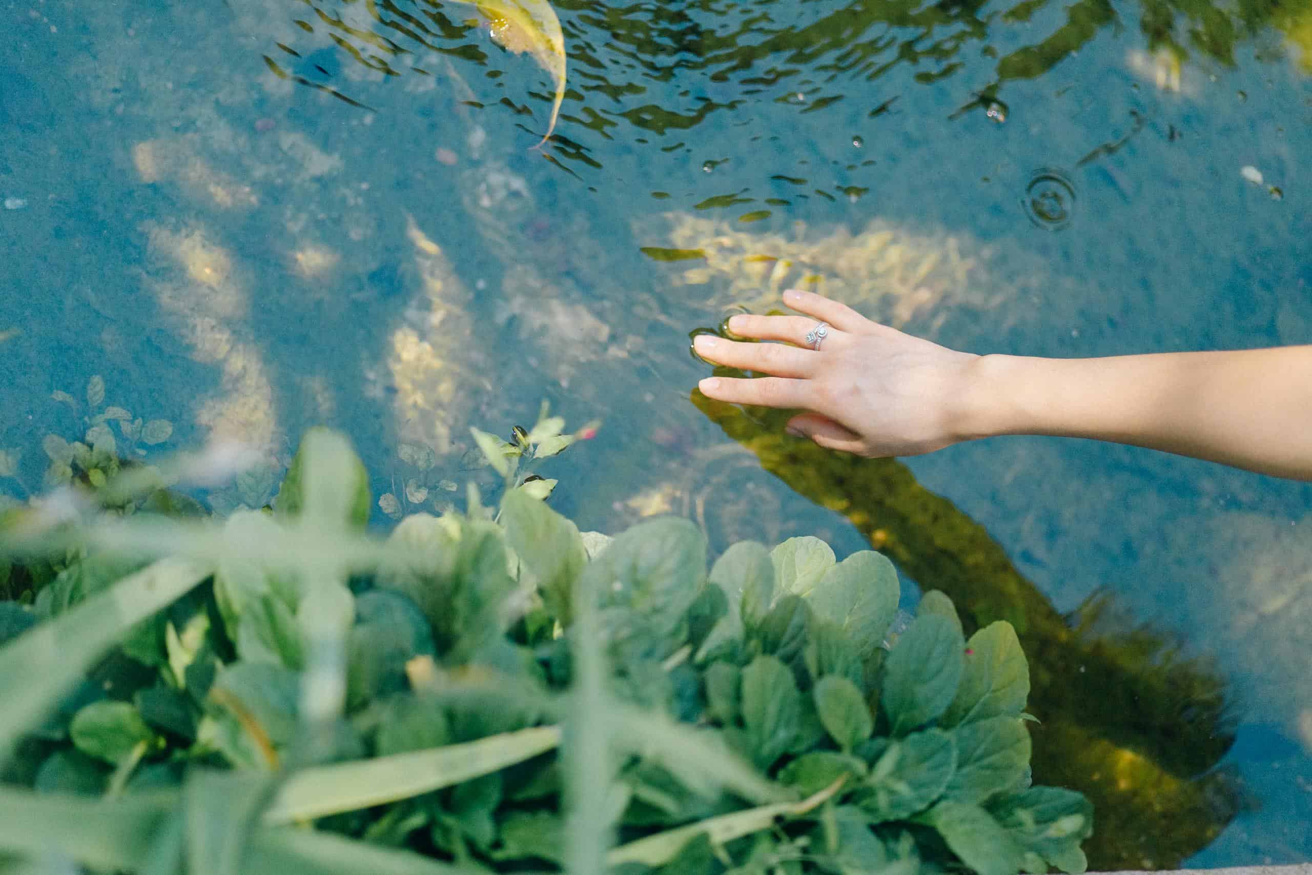 A Hand Touching the Water Surface