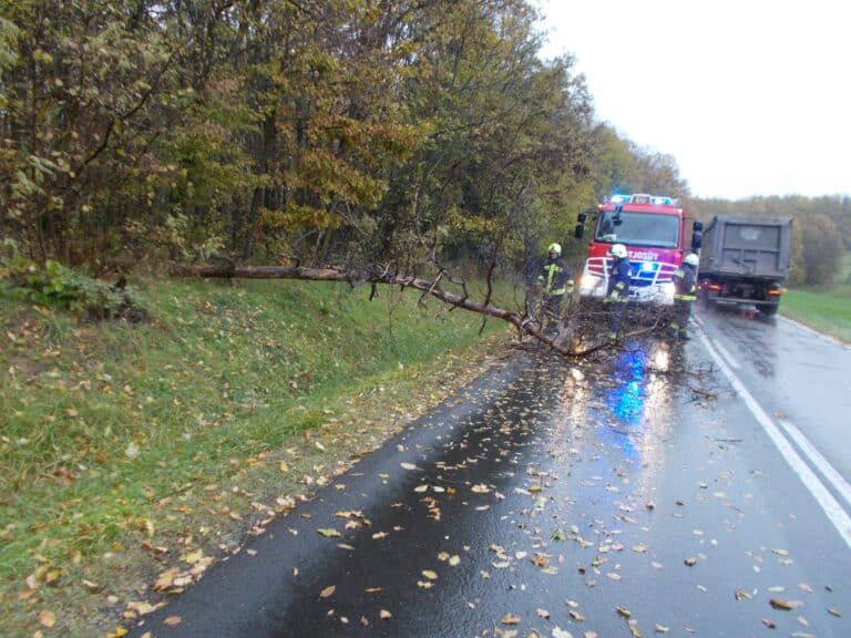 Viharos erejű szél adott munkát a nógrádi tűzoltóknak
