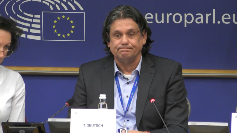 Deutsch Tamás küzdelmes percei az Európai Parlamentben: angolul kellett beszélnie