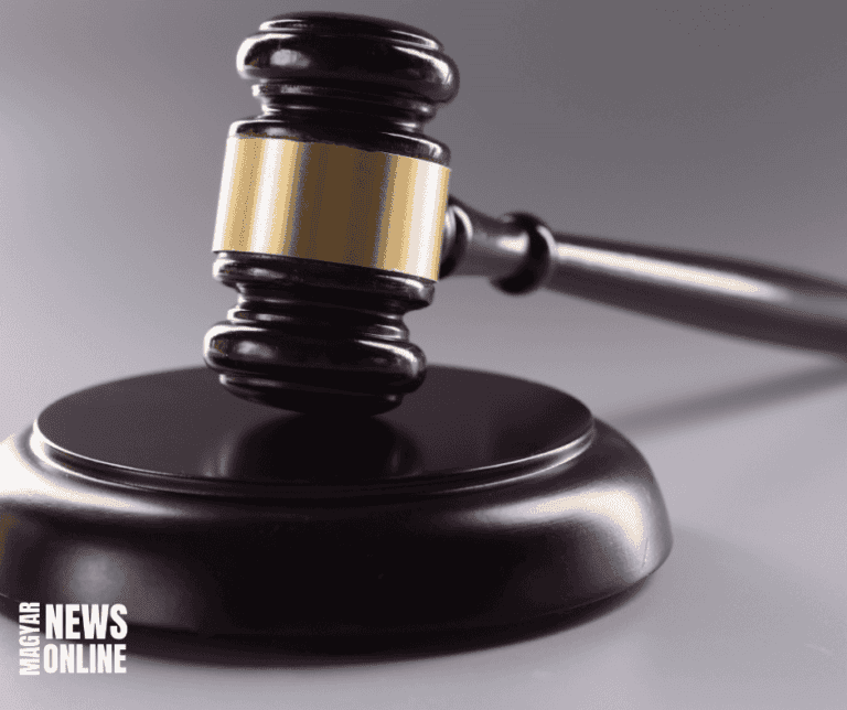 gyilkosság – Gyárfás Tamást hét év börtönre, Portik Tamást életfogytiglani fegyházra ítélték jogerősen