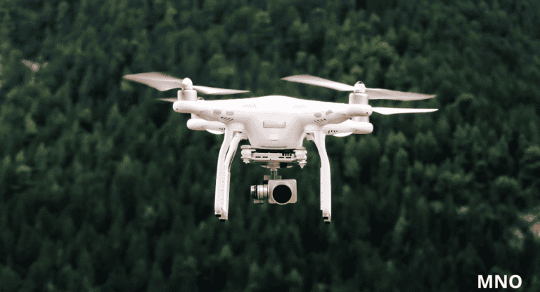 Vadállat a város mellett: drónokkal keresik a veszélyes ragadozót