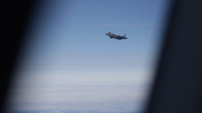 Lezuhant egy harci repülő az autópálya közelében, a pilóta életét vesztette – videó